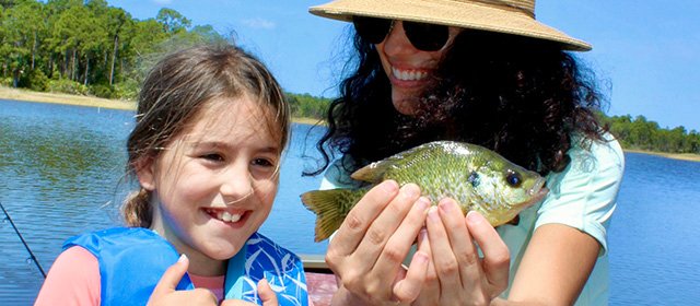 fishsingtackleandreels.com